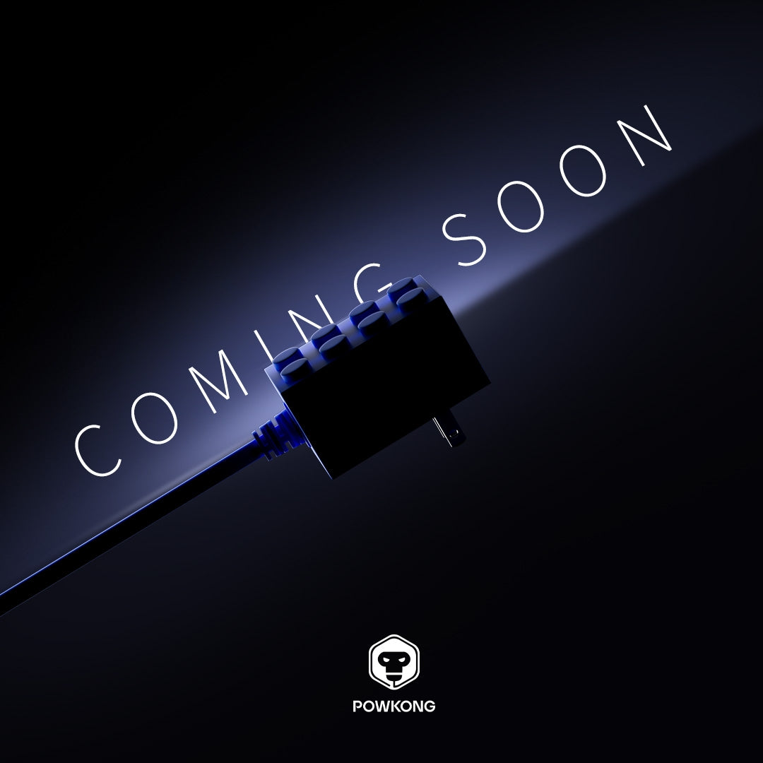 POWKONG 65W Brickgeek Switch Charger - 2025 First Quarter New Product