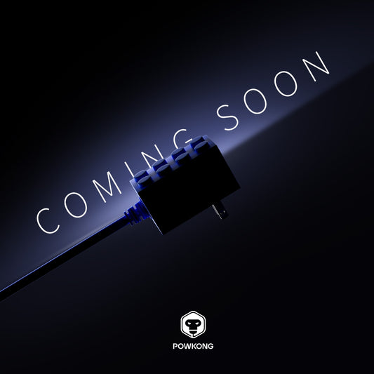 POWKONG 65W Brickgeek Switch Charger - 2025 First Quarter New Product