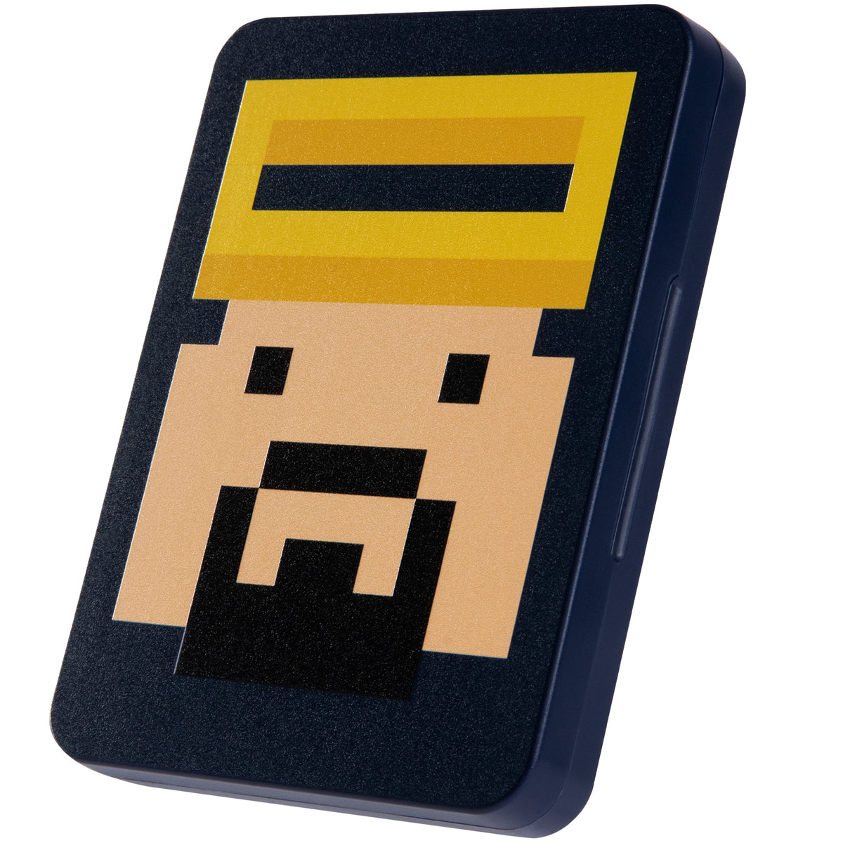 FUNLAB 16 Switch/Switch2 Game Cards Case - Dave
