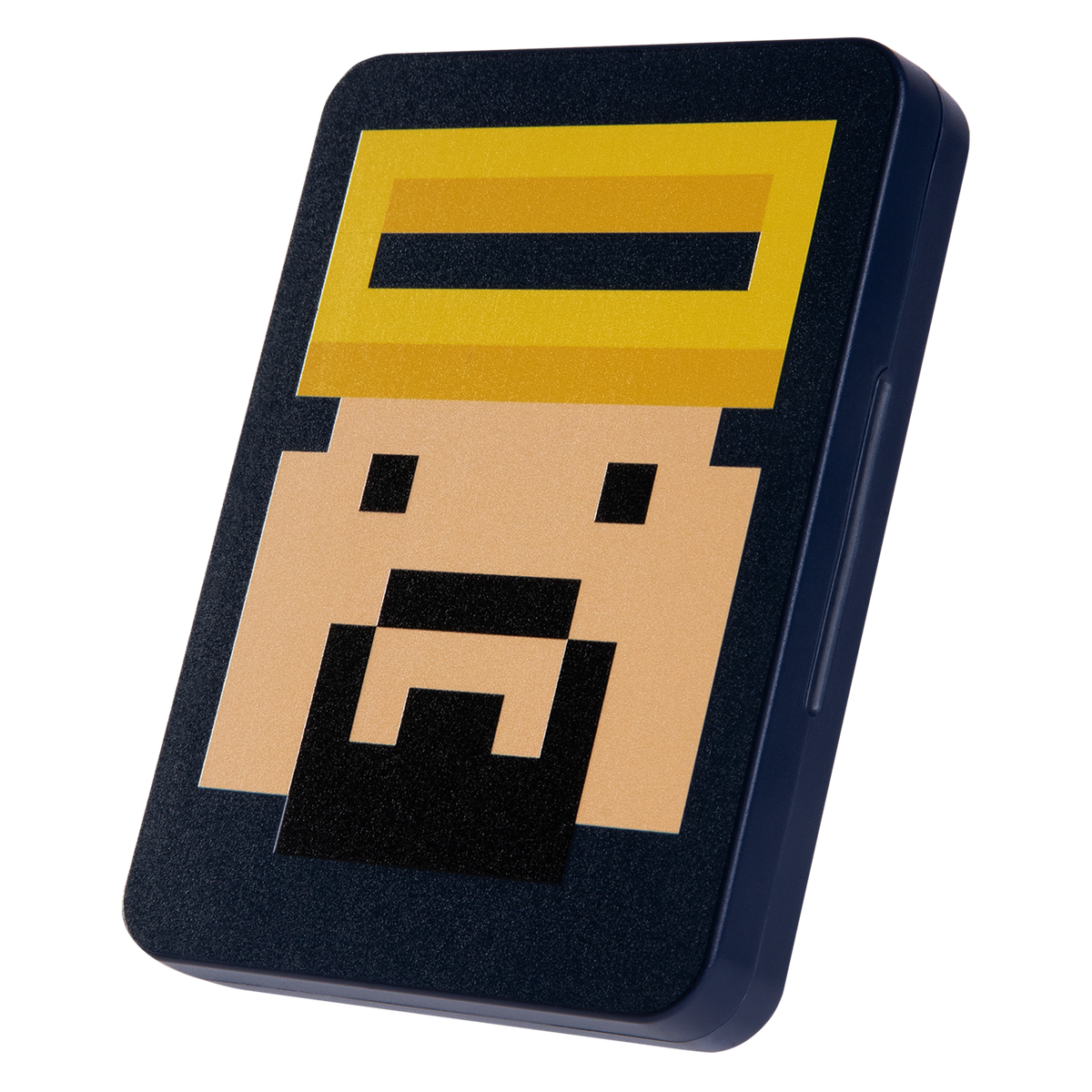 FUNLAB 16 Switch/Switch2 Game Cards Case - Dave