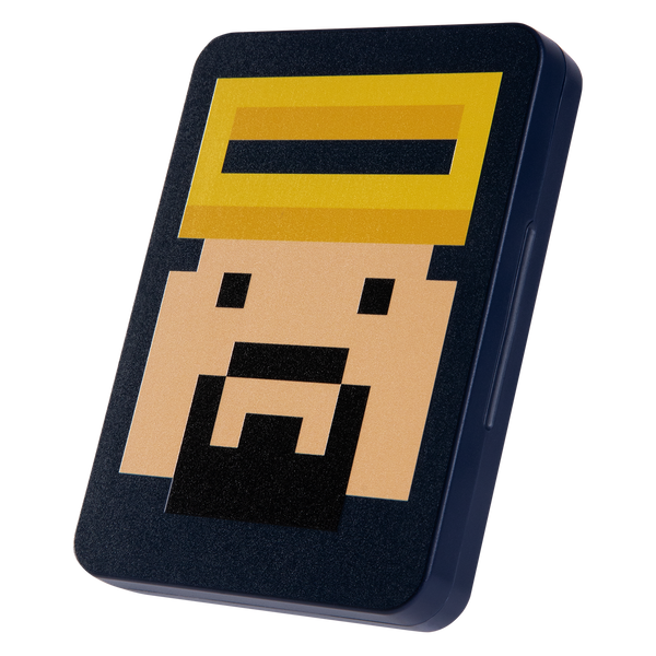 FUNLAB 16 Switch/Switch2 Game Cards Case - Dave