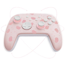 FUNLAB Firefly Switch/Switch2 Pro Controller - Ghost