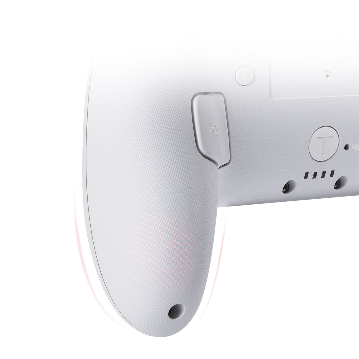 FUNLAB Firefly Switch/Switch2 Pro Controller - Ghost